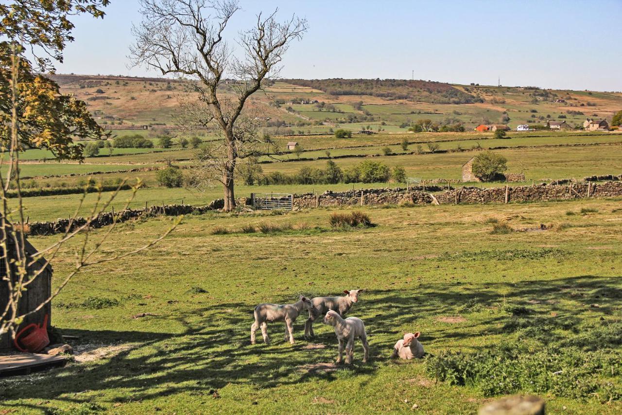 Moorland View Farm B&B Oakamoor Exterior foto
